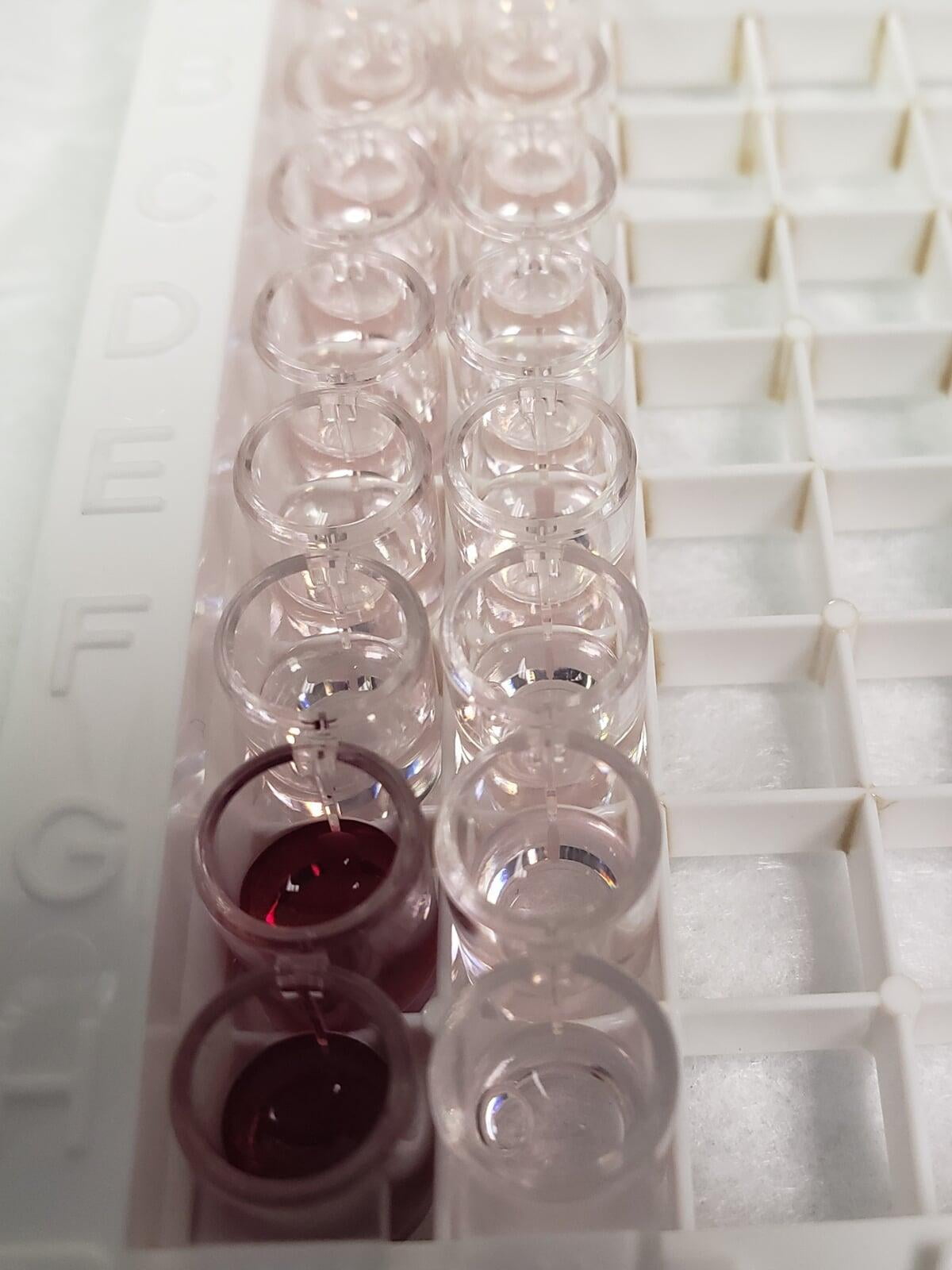 Insidious Mycoplasma